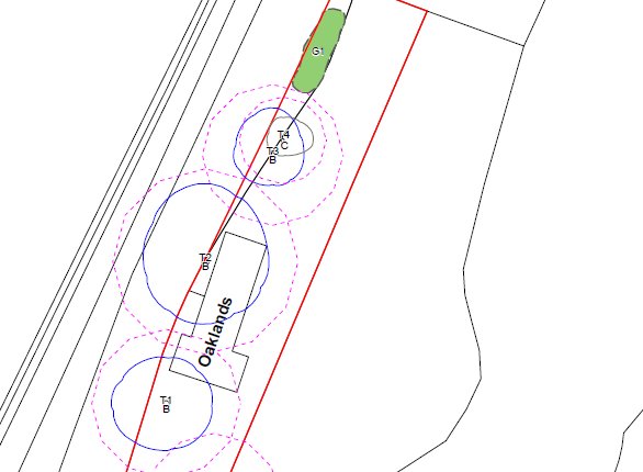 BS5837 Tree Survey Plan - Tree Constraints Plan